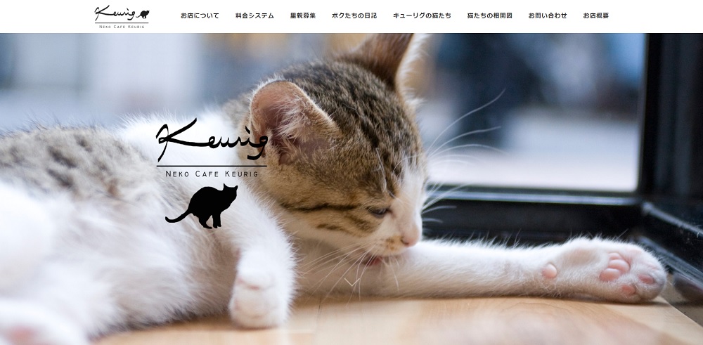 かわいい猫カフェのホームページデザイン集